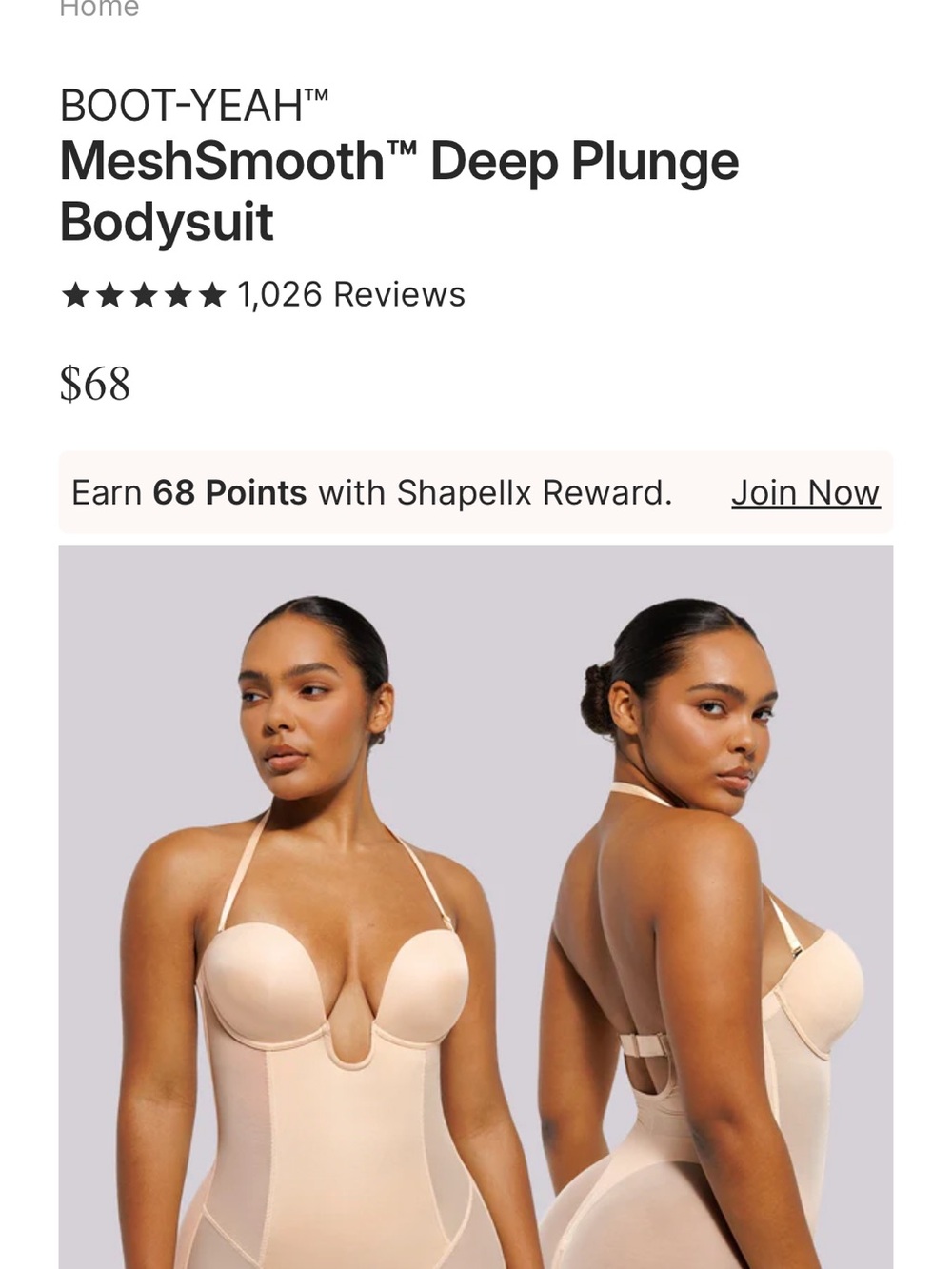 Light Nude Mesh Plunge Shaping Bodysuit with Built-In Cups